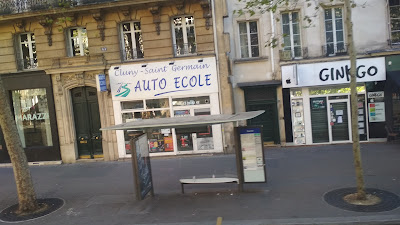 Ginkgo à Paris