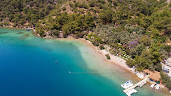 Foto de Suncity Beach com uma linha costeira reta