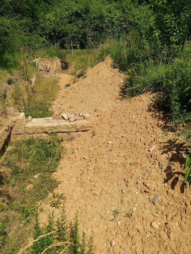Art Museum «Dumbarton Oaks Museum», reviews and photos, 1703 32nd St NW, Washington, DC 20007, USA