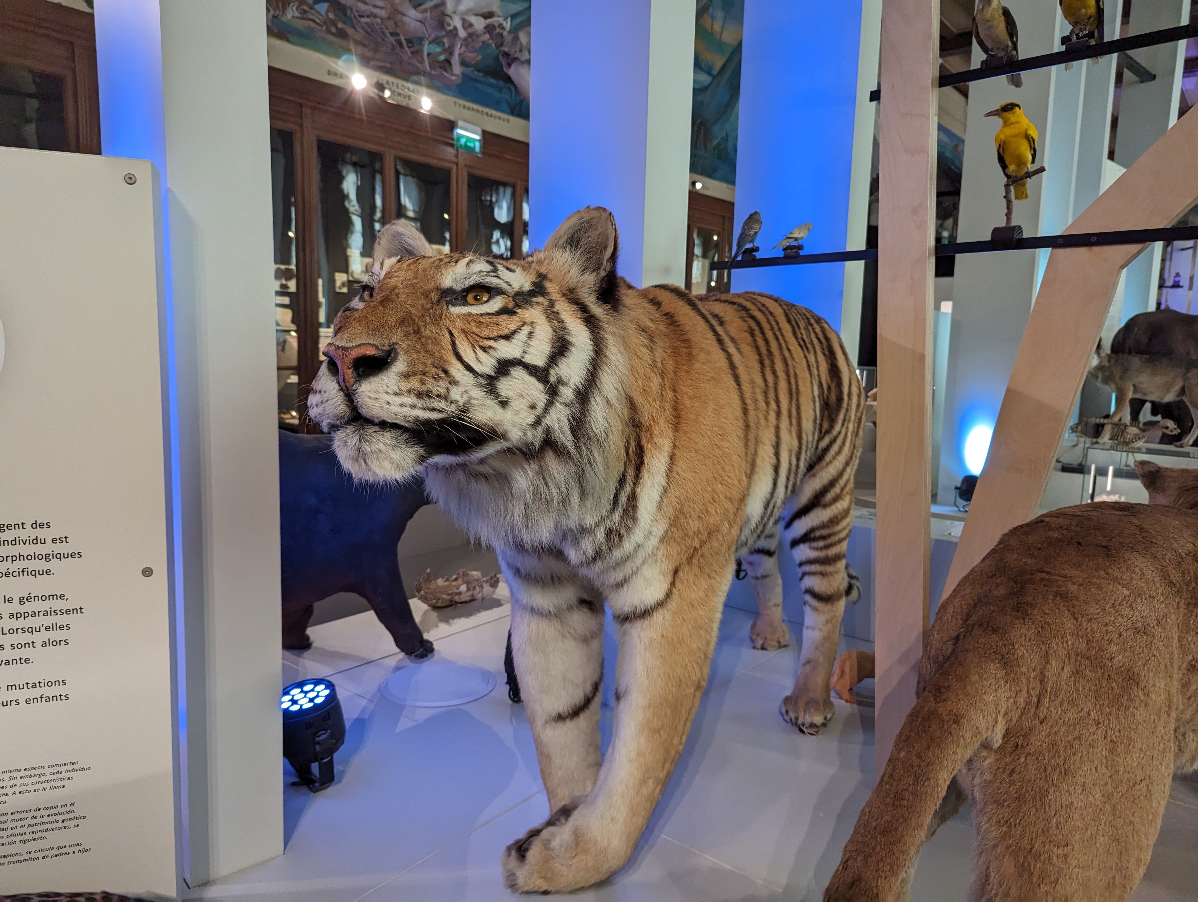 Photo n° 4 de l'avis de Aurelien.m fait le 09/09/2023 à 23:32