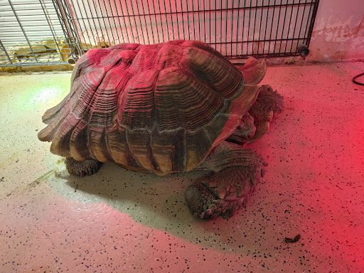 Pet Store «Rockstar Pets», reviews and photos, 215 N Main St, Tooele, UT 84074, USA