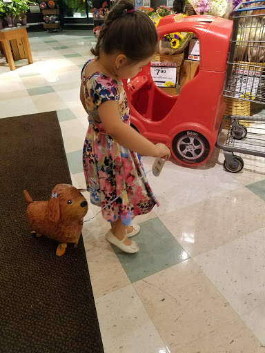 Supermarket «Big Y», reviews and photos, 1180 Thorndike St, Palmer, MA 01069, USA