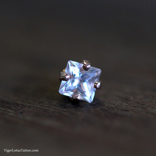 Tattoo Shop «Tiger Lotus Tattoo and Piercing», reviews and photos, 17230 S Tamiami Trail, Fort Myers, FL 33908, USA