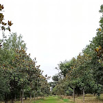 Photo n° 35 de l'avis de Picatchu.a fait le 21/08/2021 à 13:05 pour Jardin du Plessis Sasnières à Sasnières