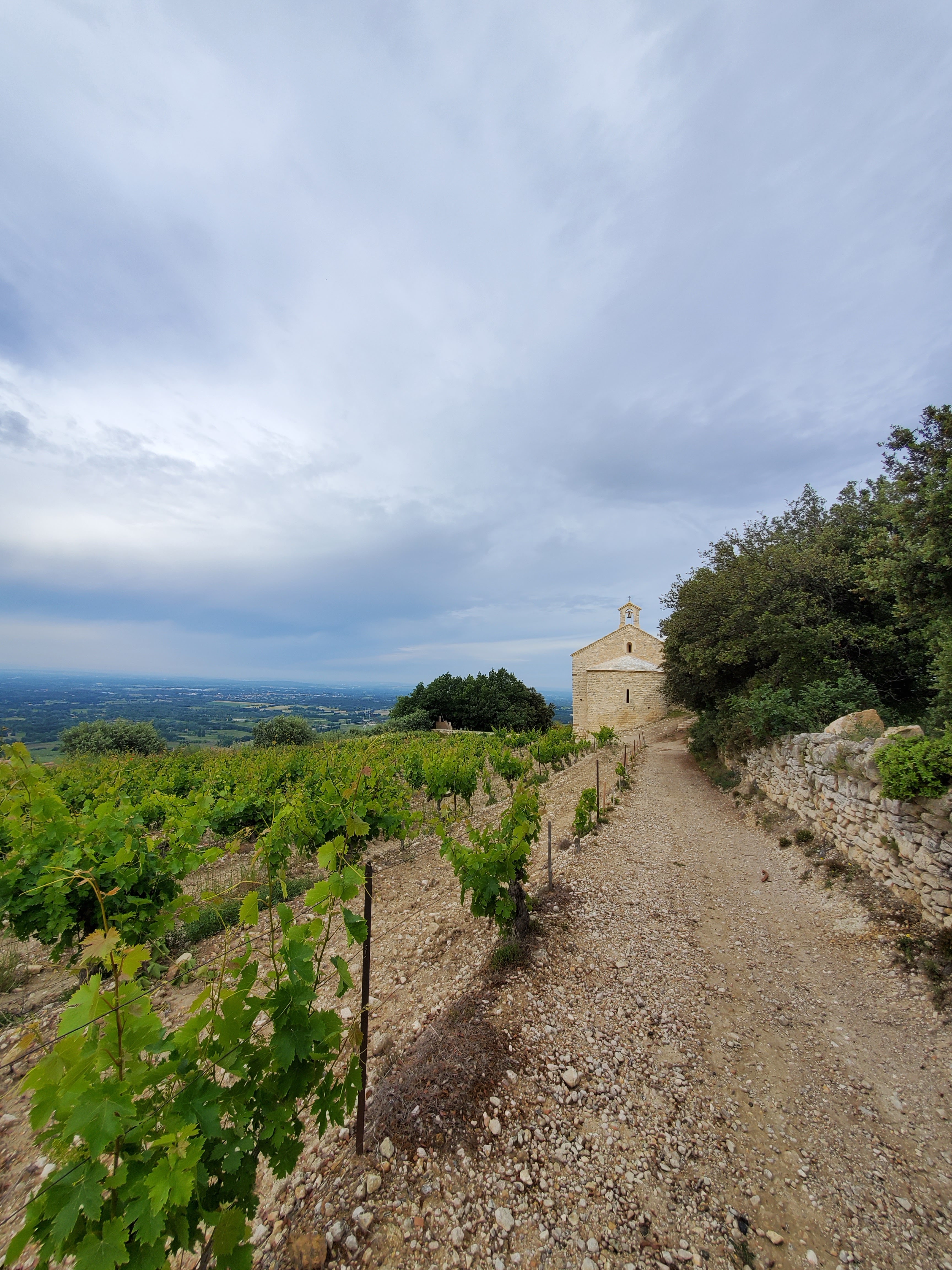 Photo n° 28 de l'avis de FRANÇOISE.O fait le 11/06/2020 à 16:59