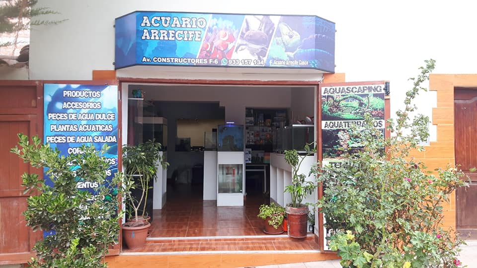 Acuario Arrecife Cusco