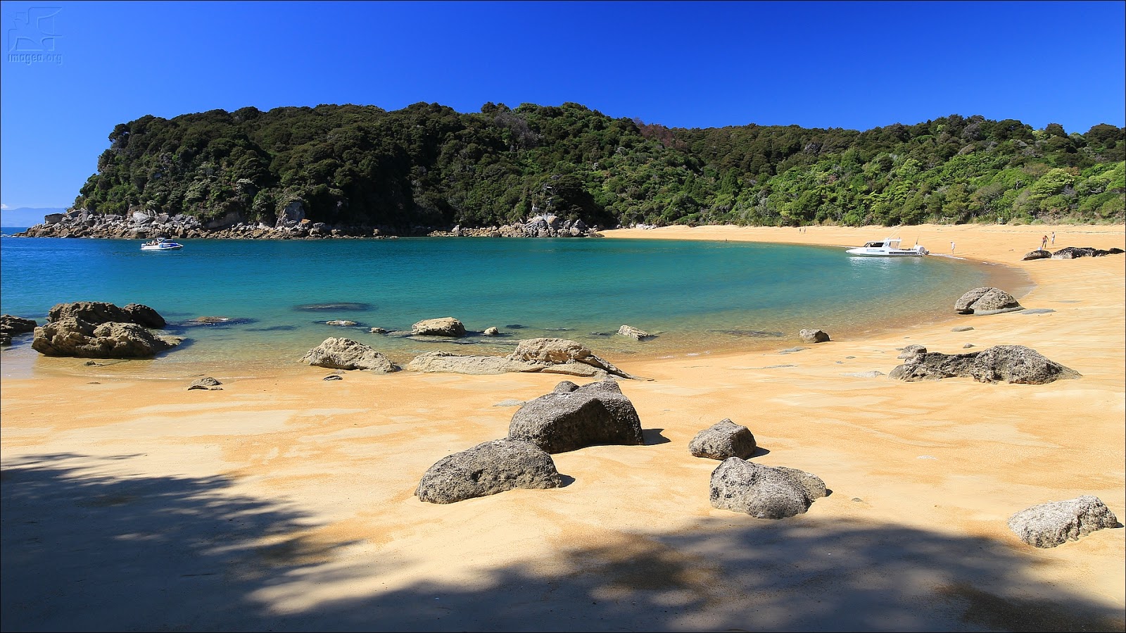 Foto de Te Pukatea Beach con muy limpio nivel de limpieza