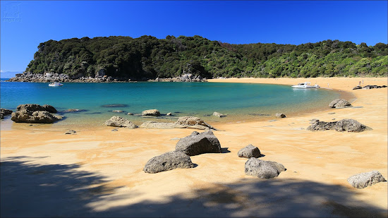Te Pukatea Beach
