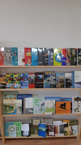 Puerto Libro librería - Puerto Aysén