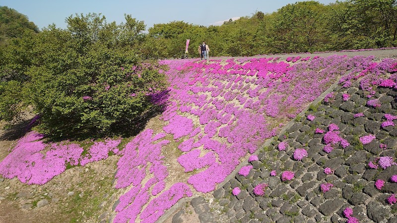 たちやがわかせんしき