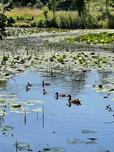 Mansbridge Reservoir