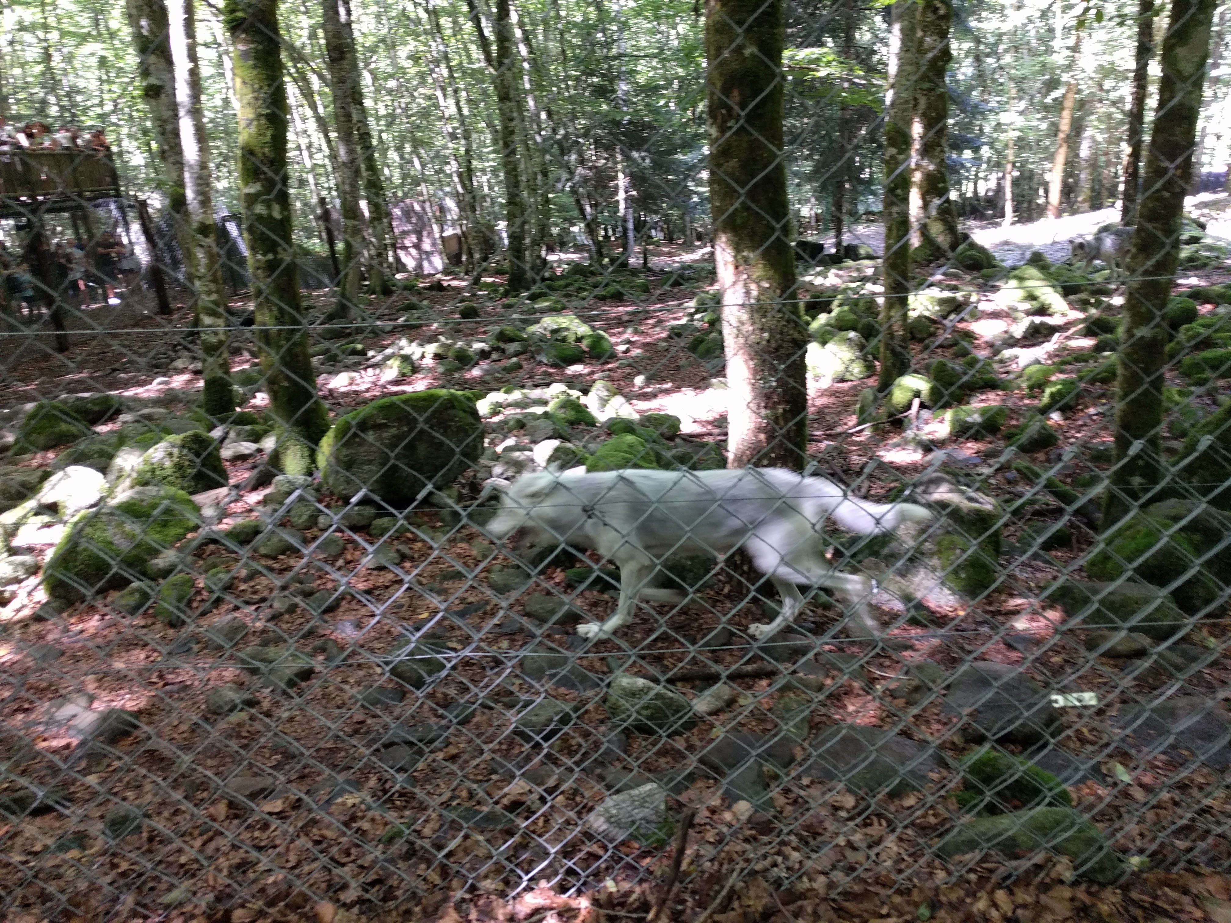 Photo n° 2 de l'avis de Stéphane.e fait le 10/08/2017 à 06:38