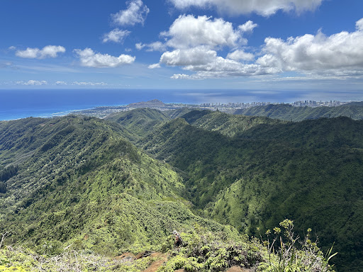 Honolulu Watershed Forest Reserve