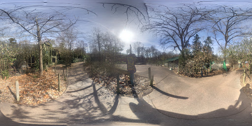 Zoo «Mesker Park Zoo», reviews and photos, 1545 Mesker Park Dr, Evansville, IN 47720, USA