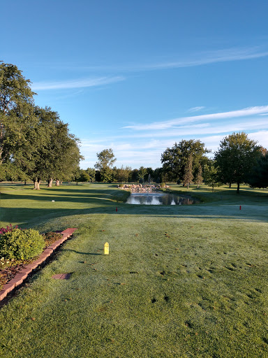 Golf Club «Twin Brooks Golf Course», reviews and photos, 1005 McKeighan Rd, Chesaning, MI 48616, USA