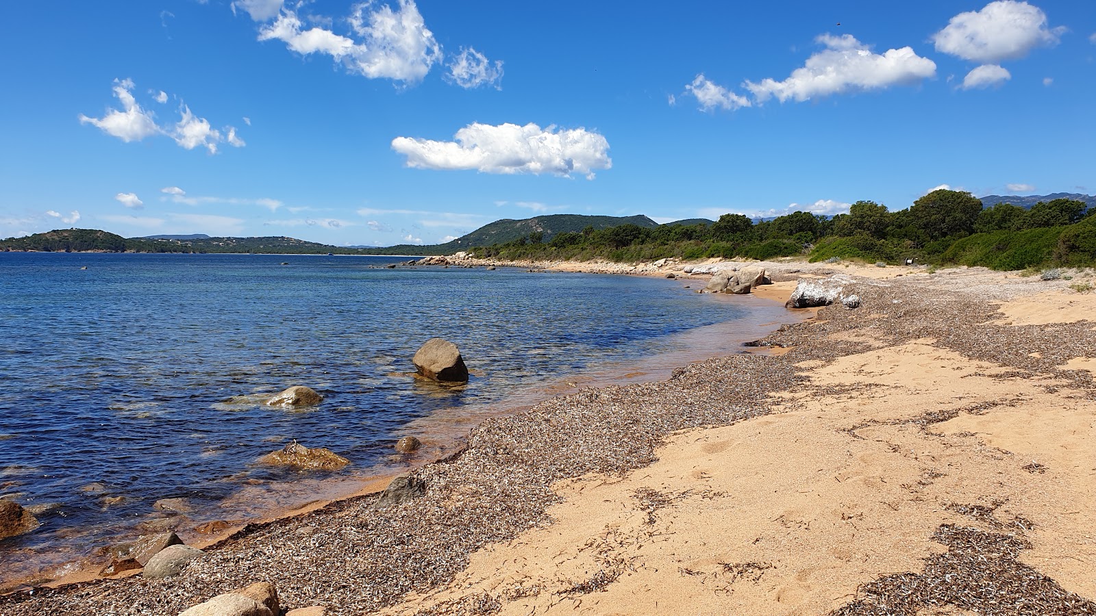 Zdjęcie Plage de Vardiola z poziomem czystości wysoki