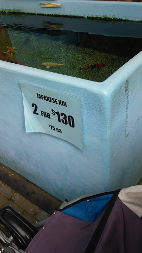 Pet Supply Store «Concord Feed Pet & Livestock Supplies», reviews and photos, 228 Hookston Rd, Pleasant Hill, CA 94523, USA