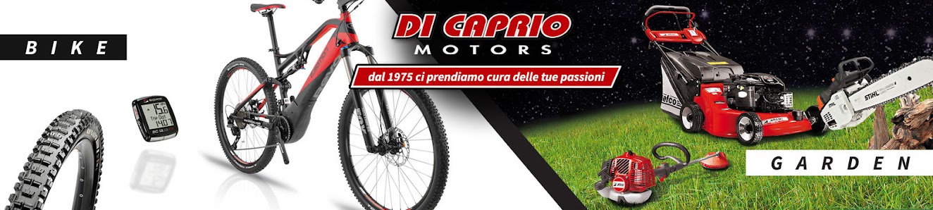 DI CAPRIO MOTORS Store (Divisione Garden) SP 330 direz. Caserta, 19, 81011 Alife CE, Italia