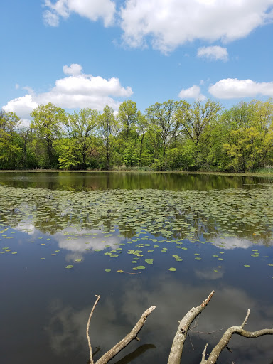 Park «Fairmount Park», reviews and photos, Reservoir Dr, Philadelphia, PA 19119, USA