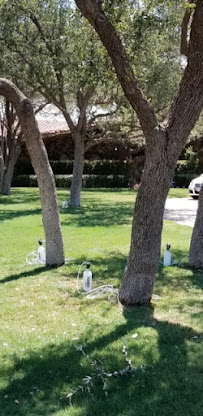 Maranatha Tree Service Co. - Photo 1 - Car repair in Midland, TX, Midland