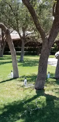 Maranatha Tree Service Co. - Car repair in Midland, TX, Midland - Rated 5.0/5