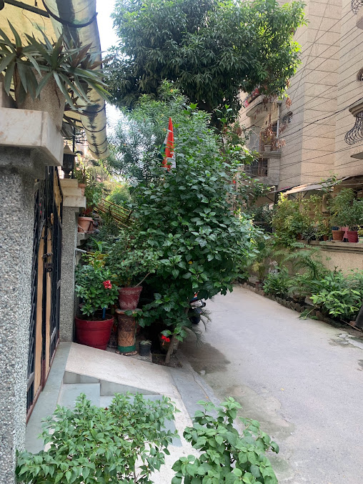 Google Maps image 31