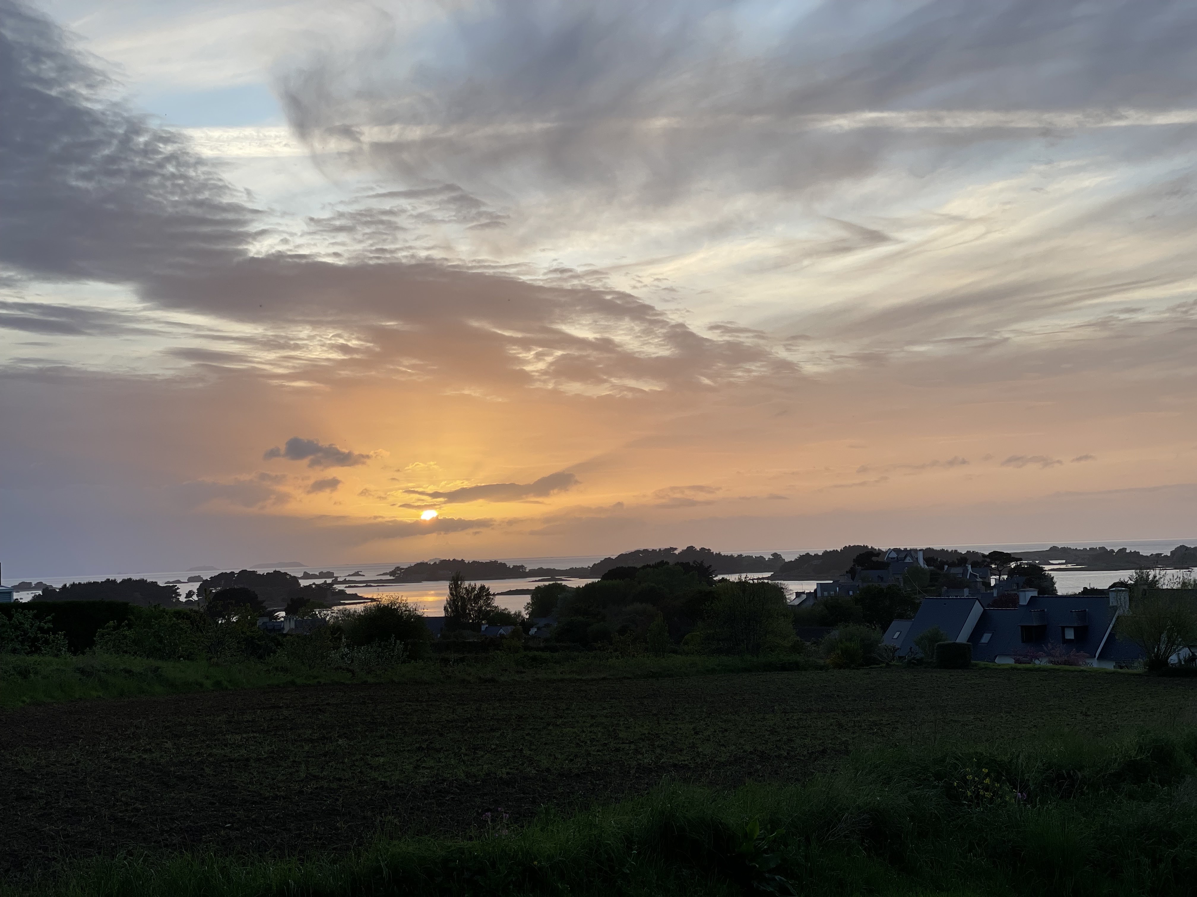 Photo n° 3 de l'avis de Kessara. fait le 27/05/2023 à 21:10