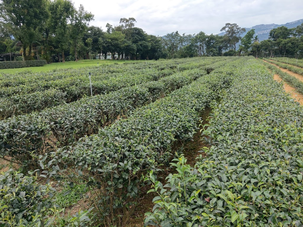 吃茶客 （吃茶咖）重慶烤魚、酸菜魚、正宗川菜熱炒、飲料、咖啡、火鍋、麻辣火鍋）川味休閒事業有限公司 的照片