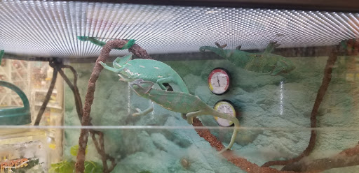 Pet Supply Store «Petco Animal Supplies», reviews and photos, 845 N Dobson Rd, Mesa, AZ 85201, USA