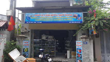 Shop cá cảnh betta thủy dương