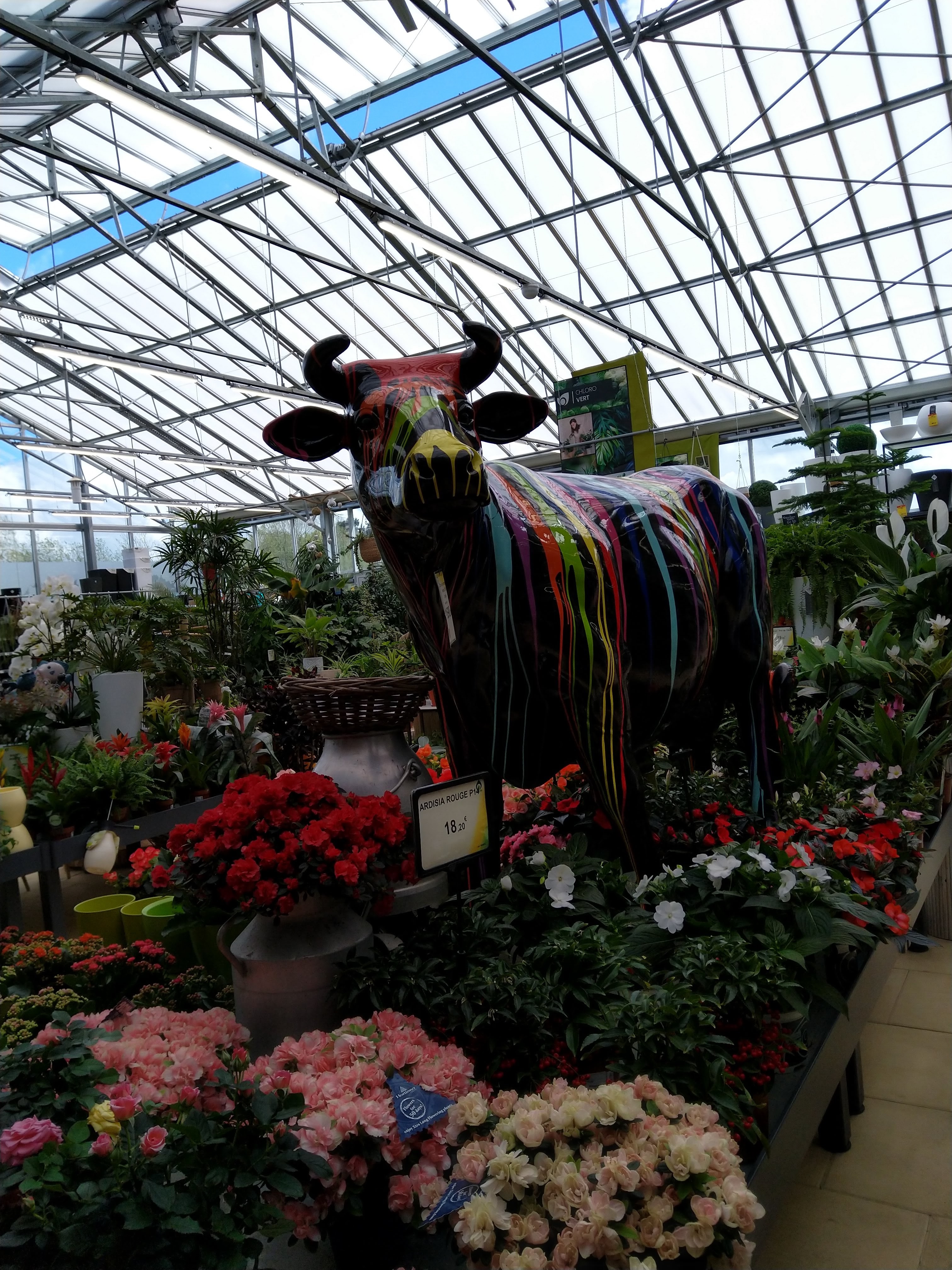 Photo n° 3 de l'avis de Bernard. fait le 24/04/2019 à 15:03