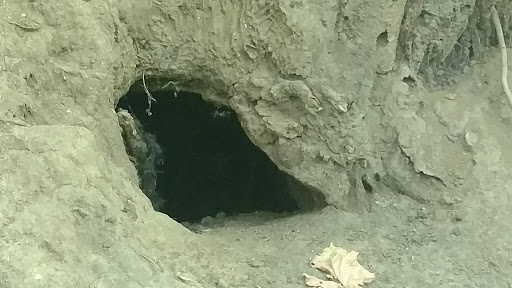 Park «Jester Park», reviews and photos, 11407 Northwest Jester Park Drive, Granger, IA 50109, USA