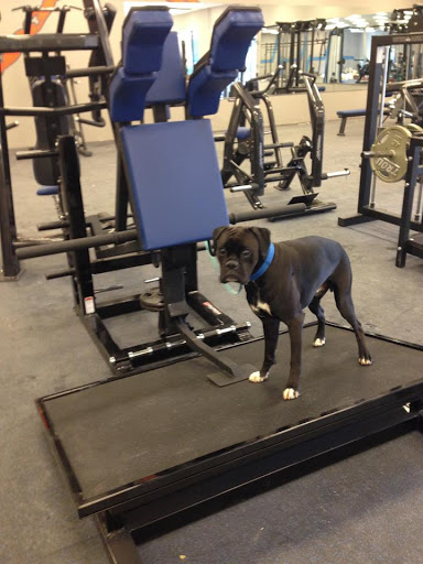 Gym «Iron Empire», reviews and photos, 47 Chestnut St, Dover, NH 03820, USA