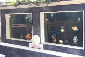 Oii Goldfish Bali image