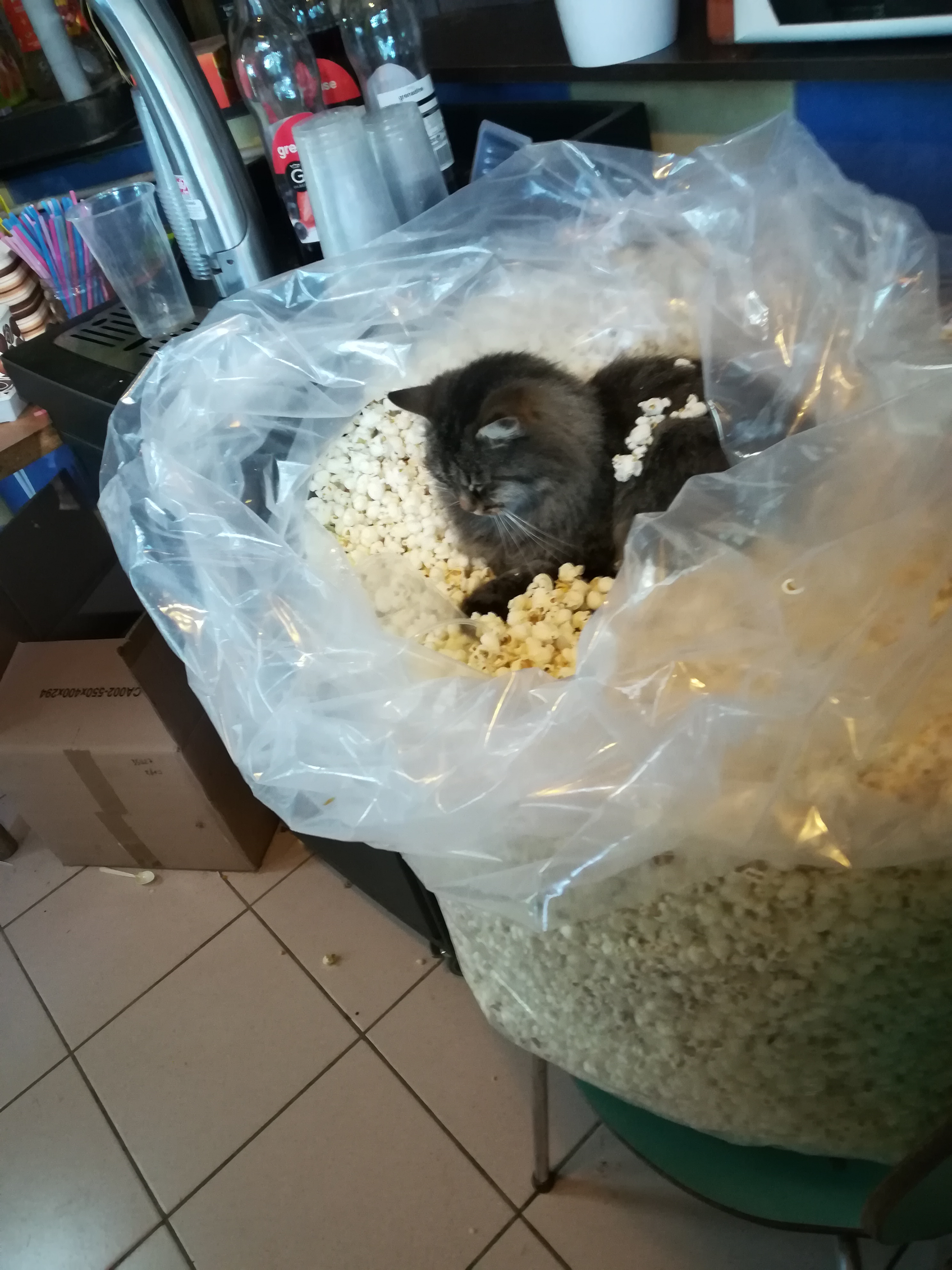 Photo n° 2 de l'avis de Brigitte.a fait le 25/10/2018 à 16:05
