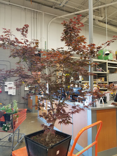 Home Improvement Store «The Home Depot», reviews and photos, 305 Worth Ave, Stafford, VA 22554, USA