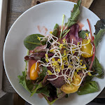 Photo n°2 de l'avis de Gerd.� fait le 30/07/2023 à 15:30 sur le  Genusswerkstatt im Mallinckrodthof à Borchen