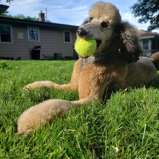 Pet Store «M V Pets», reviews and photos, 7429 S Westnedge Ave, Portage, MI 49002, USA