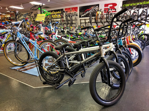 Bicycle Store «Calabazas Cyclery», reviews and photos, 6140 Bollinger Rd, San Jose, CA 95129, USA