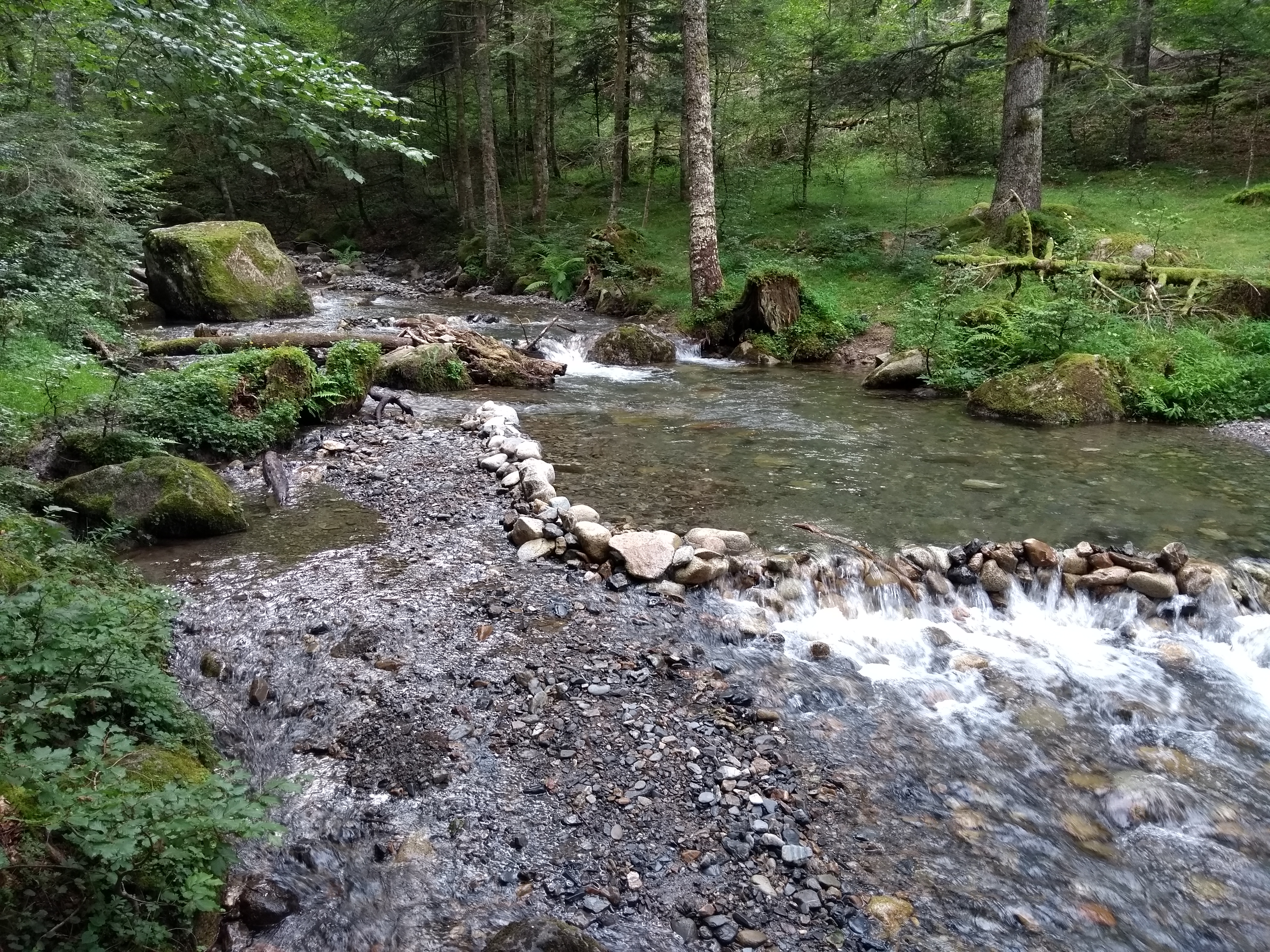 Photo n° 2 de l'avis de King.t fait le 17/07/2019 à 08:25