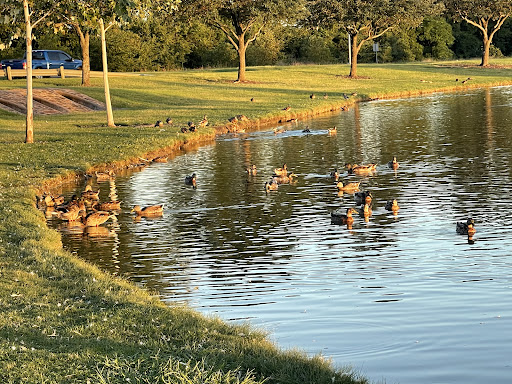 City Park «Celebration Park», reviews and photos, 701 Angel Pkwy, Allen, TX 75002, USA