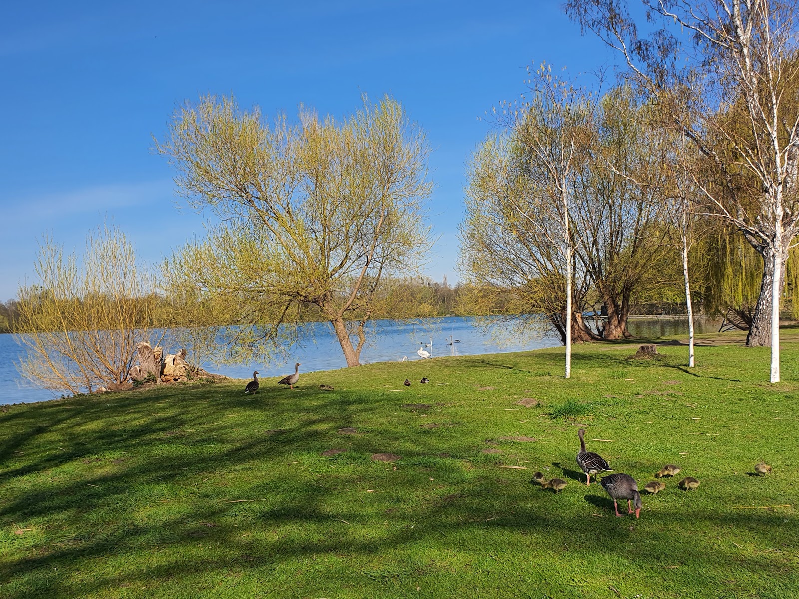 Strandbad Maschsee photo #8