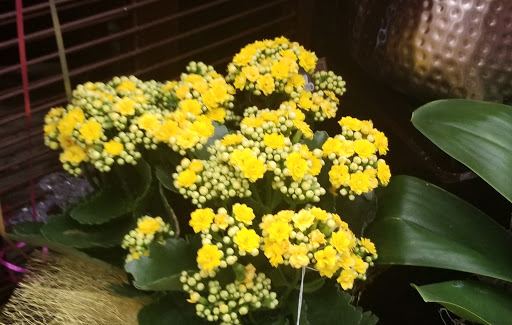 Grocery Store «Vons», reviews and photos, 932 E Badillo St, Covina, CA 91724, USA