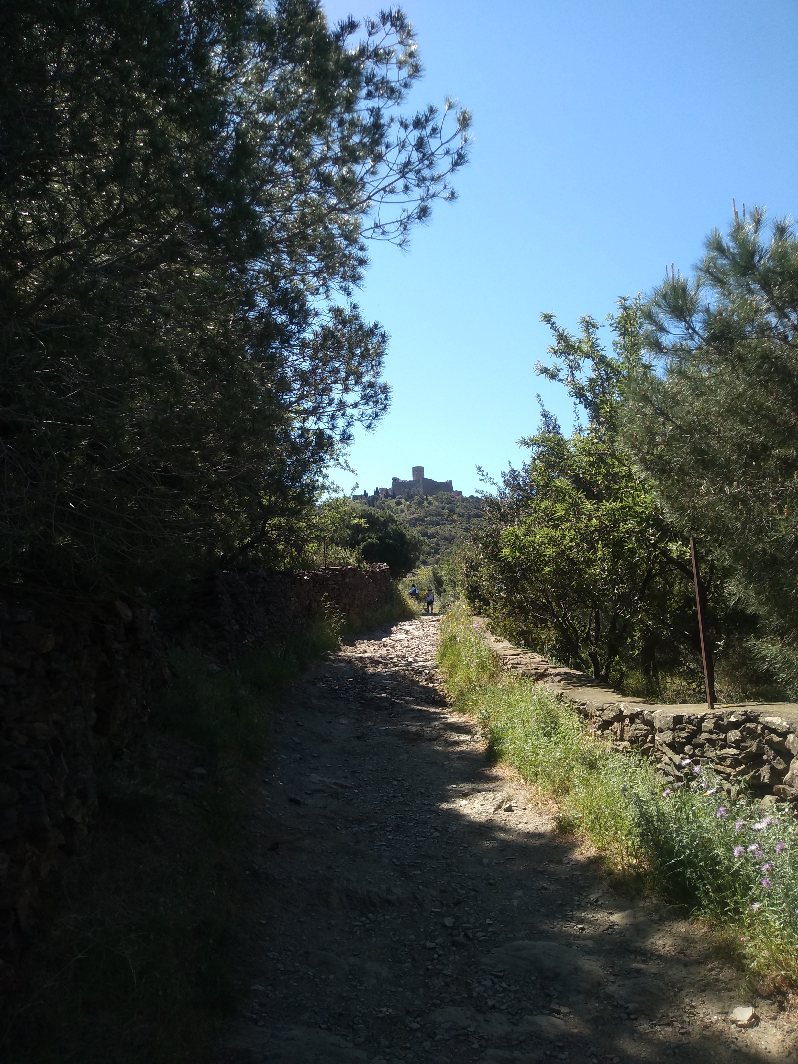 Photo n° 7 de l'avis de sambao.a fait le 15/05/2019 à 17:49