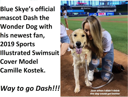 Mortgage Lender «Blue Skye Lending», reviews and photos