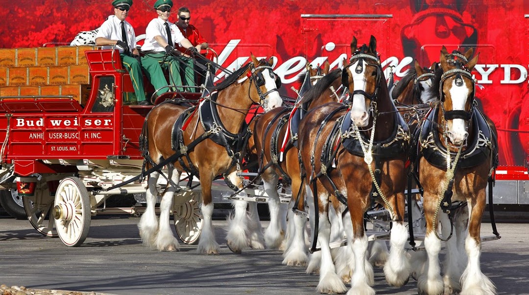 City Beverage Co Inc