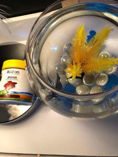 Pet Supply Store «Petco Animal Supplies», reviews and photos, 5190 Borgen Blvd #201, Gig Harbor, WA 98332, USA