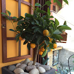 Photo n°1 de l'avis de salwa.a fait le 23/04/2017 à 12:50 sur le  Hotel Alpino à Malcesine