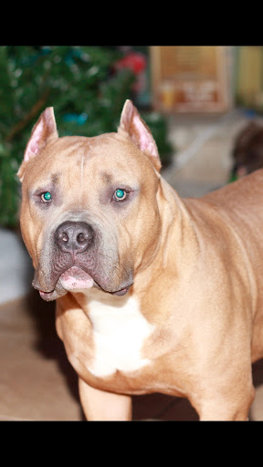 2310 Church Rd, Cherry Hill, NJ 08002, USA