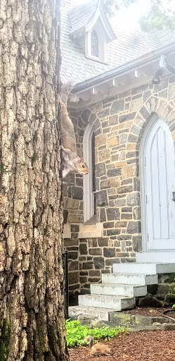 Thrift Store «St Albans Church-Opportunity Shop», reviews and photos, 3001 Wisconsin Ave NW, Washington, DC 20016, USA